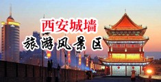 男生的机机插入女生的小骚逼里免费观看中国陕西-西安城墙旅游风景区